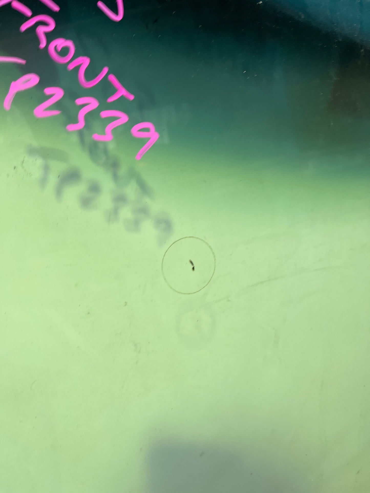 Used Front Windscreen To Suit S13 Silvia Coupe