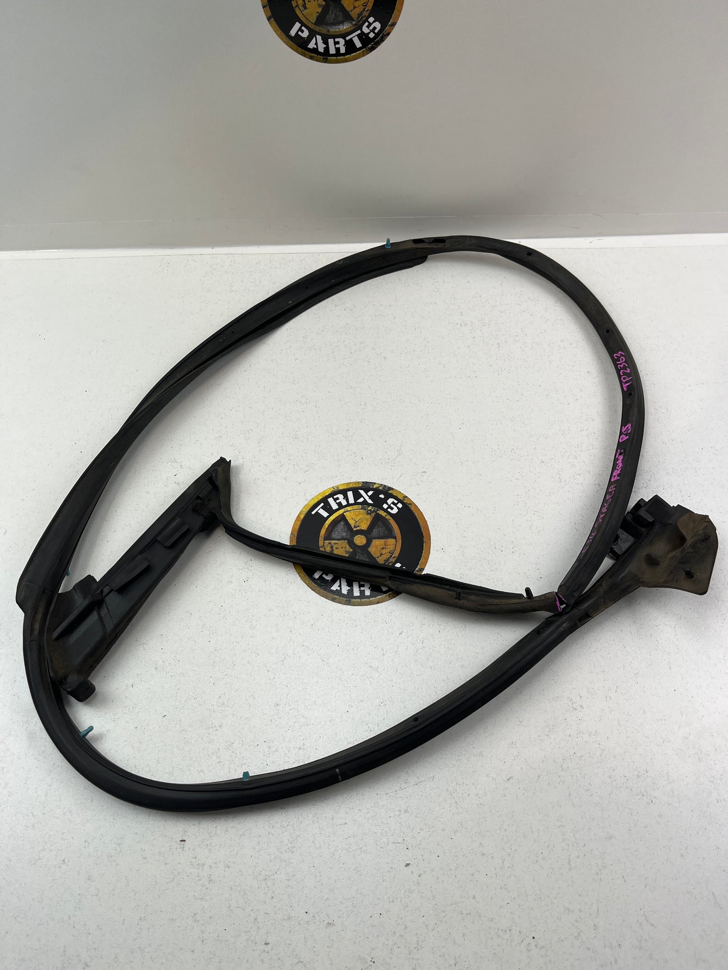 Used Front Passenger Side Door Shell Rubber (Split) and Clips For C34 Stagea