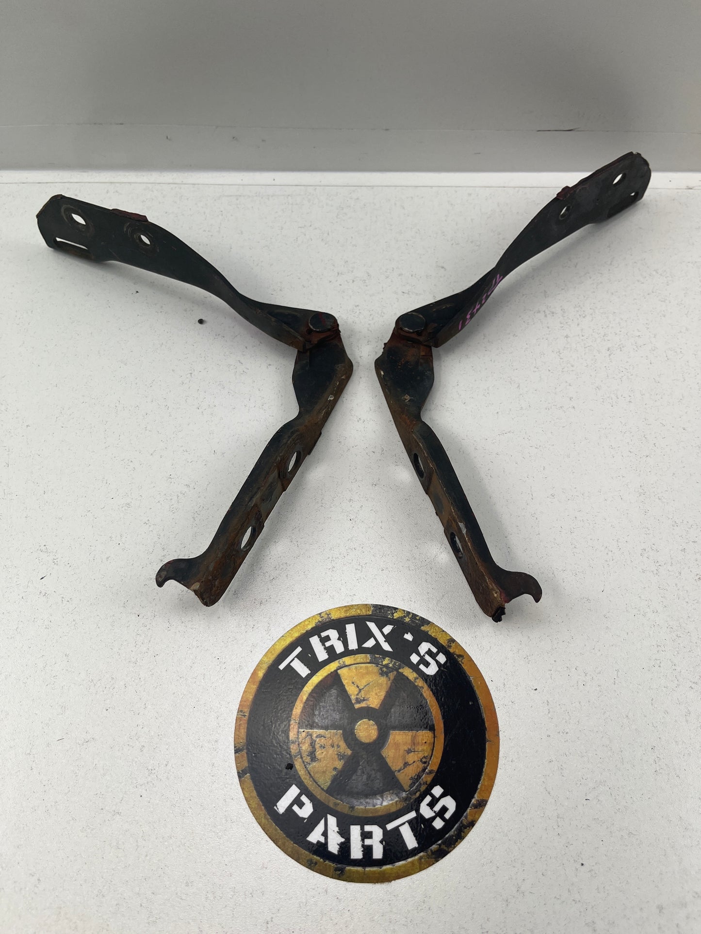 Standard R32 Bonnet Hinges Pair