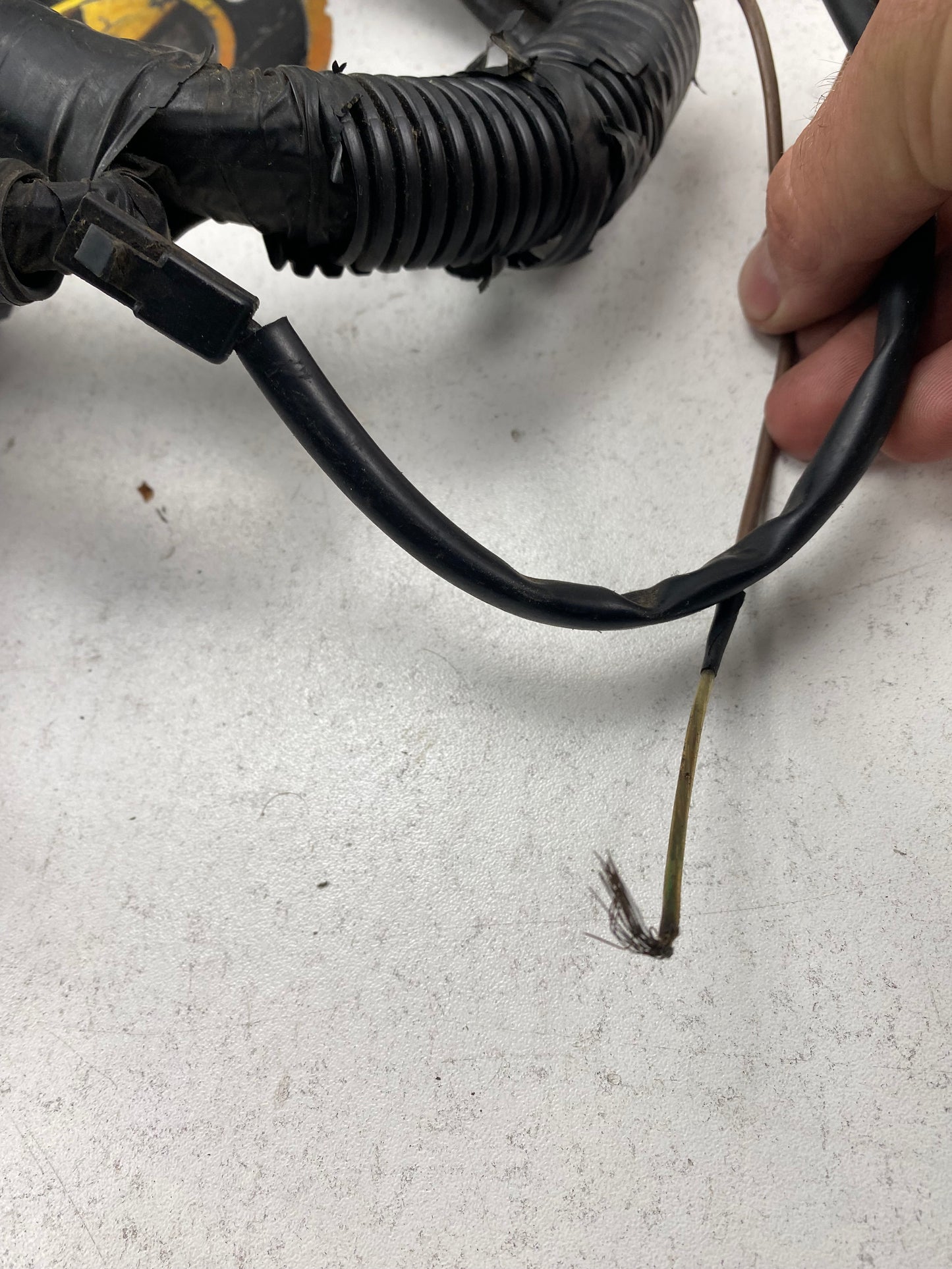 1GGTE MK3 Supra Engine Harness