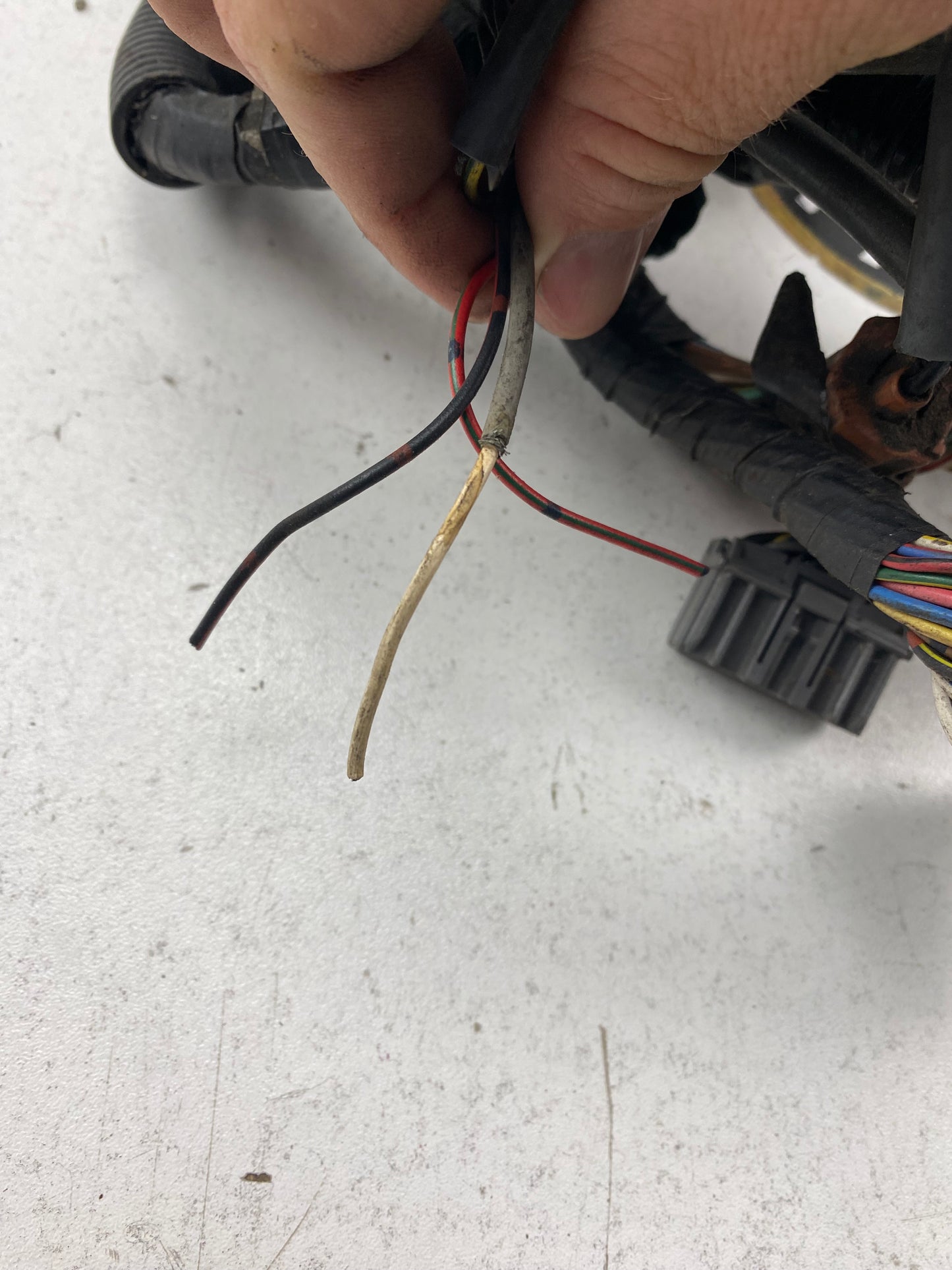 1GGTE MK3 Supra Engine Harness