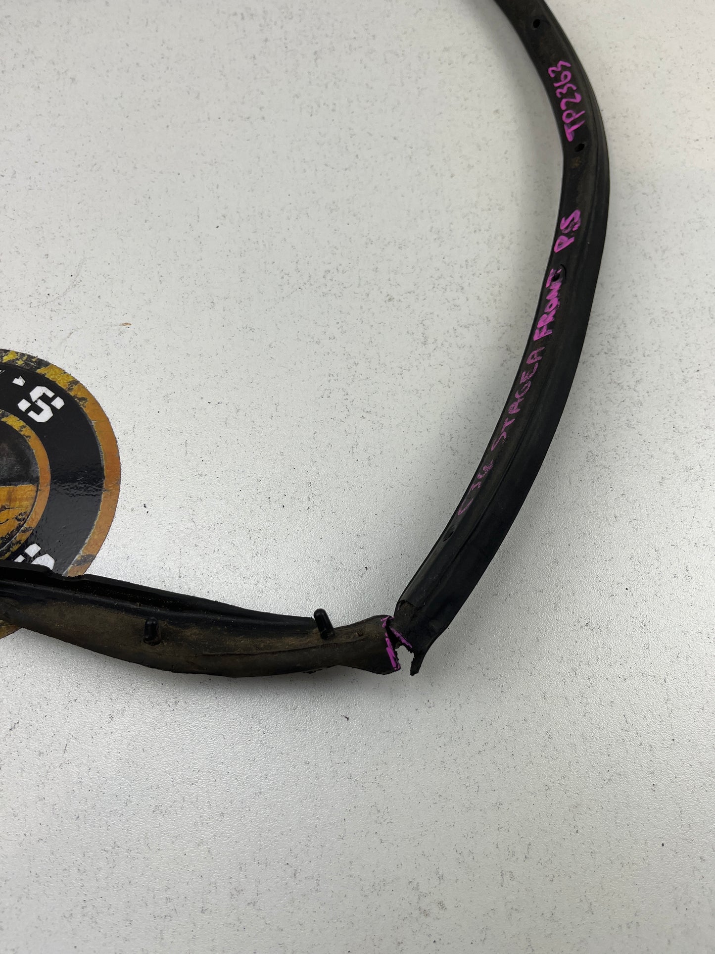 Used Front Passenger Side Door Shell Rubber (Split) and Clips For C34 Stagea